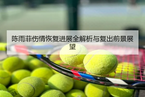 陈雨菲伤情恢复进展全解析与复出前景展望